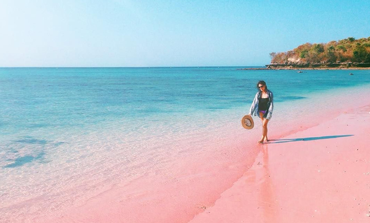 Pesona Romantis Pantai Pink Lombok